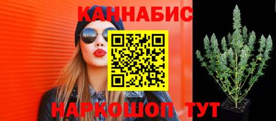 прущий лед Сланцы